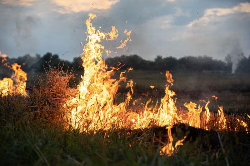 fire-steppe-grass-is-burning-destroying-everything-its-path-1-1